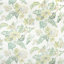 Celadon