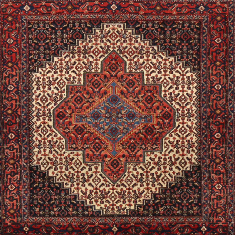 Oriental Indoor Rug, Rectangle 4' x 6'