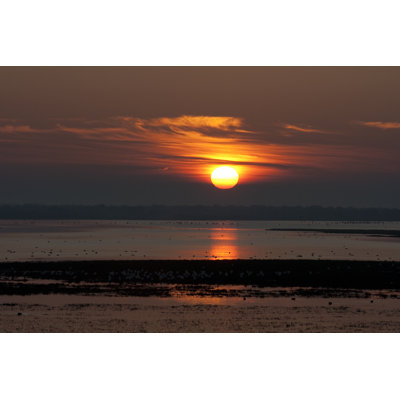 Coucher de soleil à Donana - photographie sur toile tendue