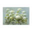 Art sur toile Danhui Nai-105629424