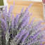 Arrangement de lavande Kassaraba-232822079