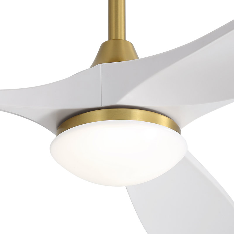  Ventilateur de plafond de style moderne à 3 pales de 60 po avec télécommande Nicola