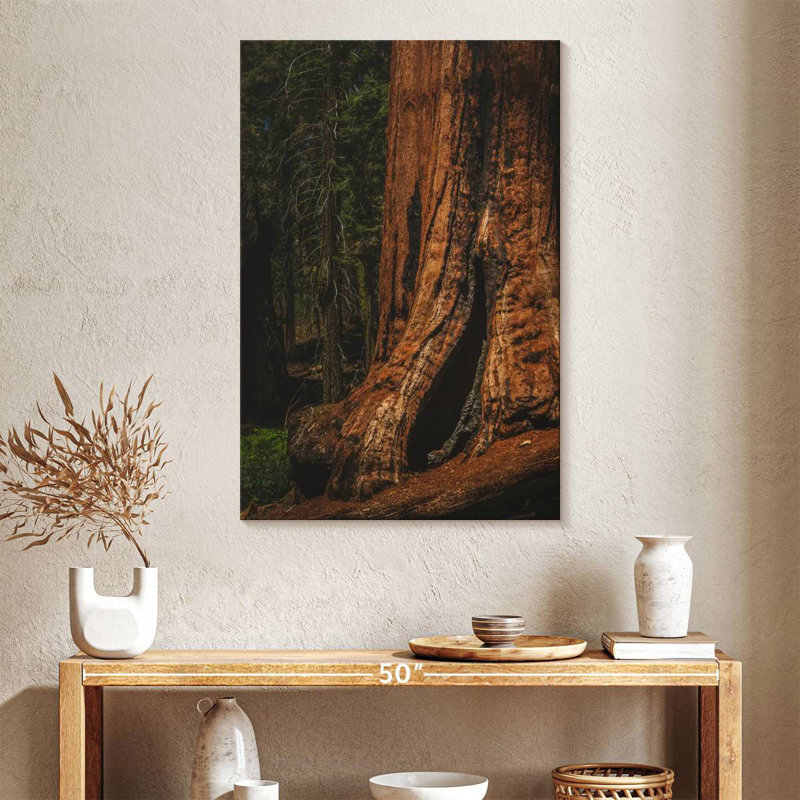Harnek Sherman Trail Sequoia Trees, 39" H x 26" W
