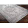 Aoi Chenille Oriental Indoor Rug