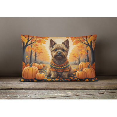 Other/No Pattern Reversible Throw Pillow