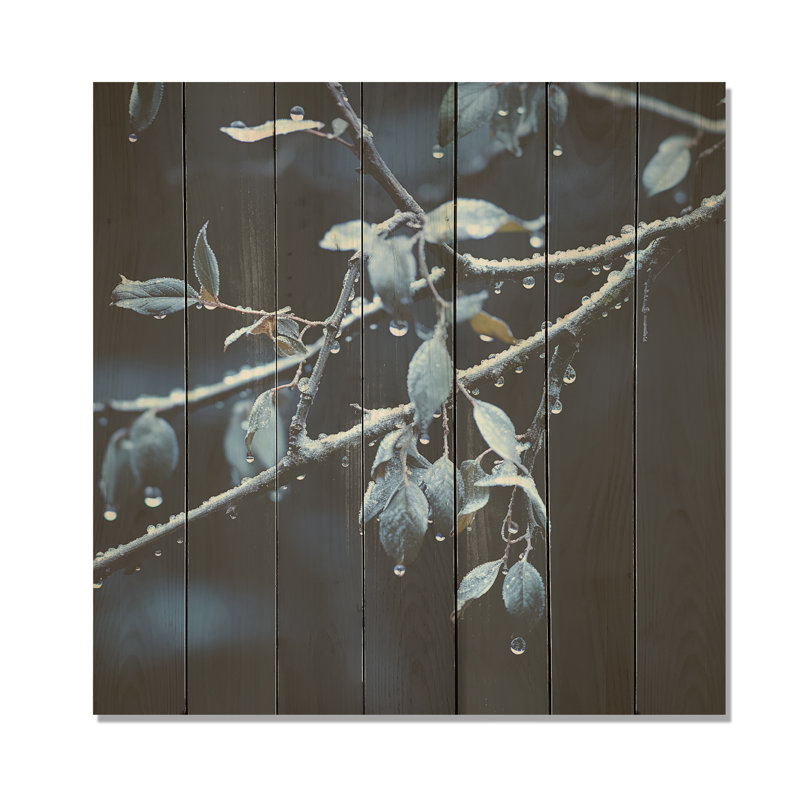 Moonlit Canopy Winter Tree II - Fruits On Wood Print, 36" H x 36" W