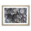 White-Breasted Crows Vol.1 by Zha Shibiao - Picture Frame Painting Print-55612977-55612978