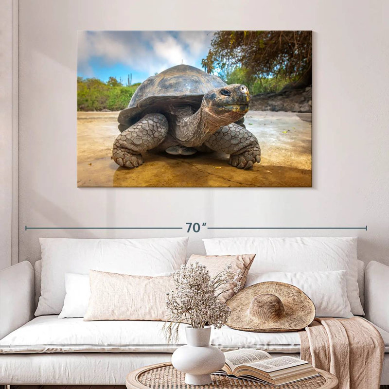 Tortue des Galapagos, H 32 po x l 48 po
