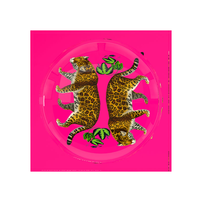 Leopard Seeing Double Hot Pink Acrylic Candy Catchall Dish