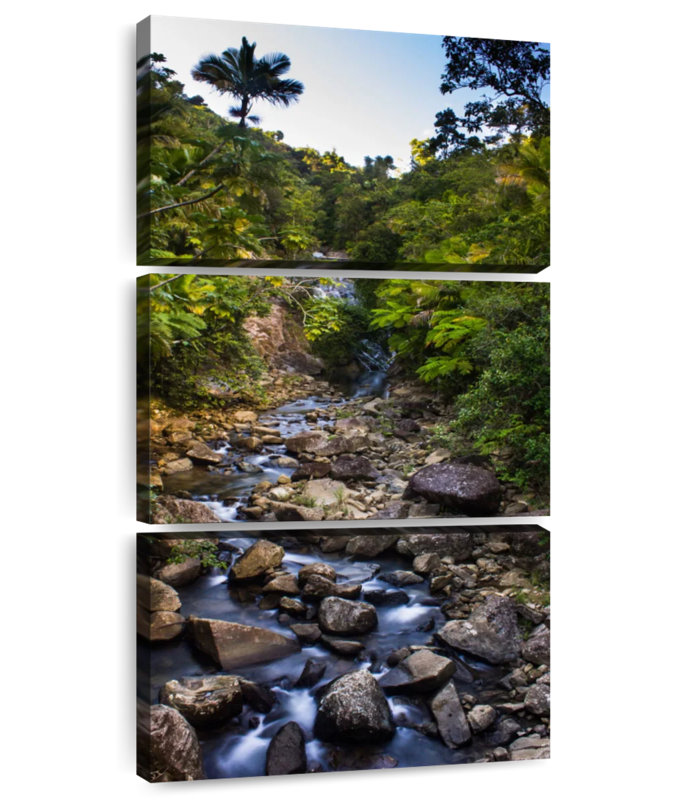 Ruisseau El Yunque, H 52 po x l 24 po