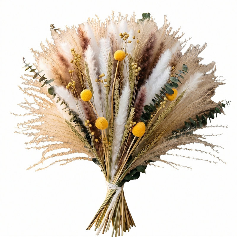 Arrangement de fleurs artificielles de fleurs de pampas séchées (vase non inclus)