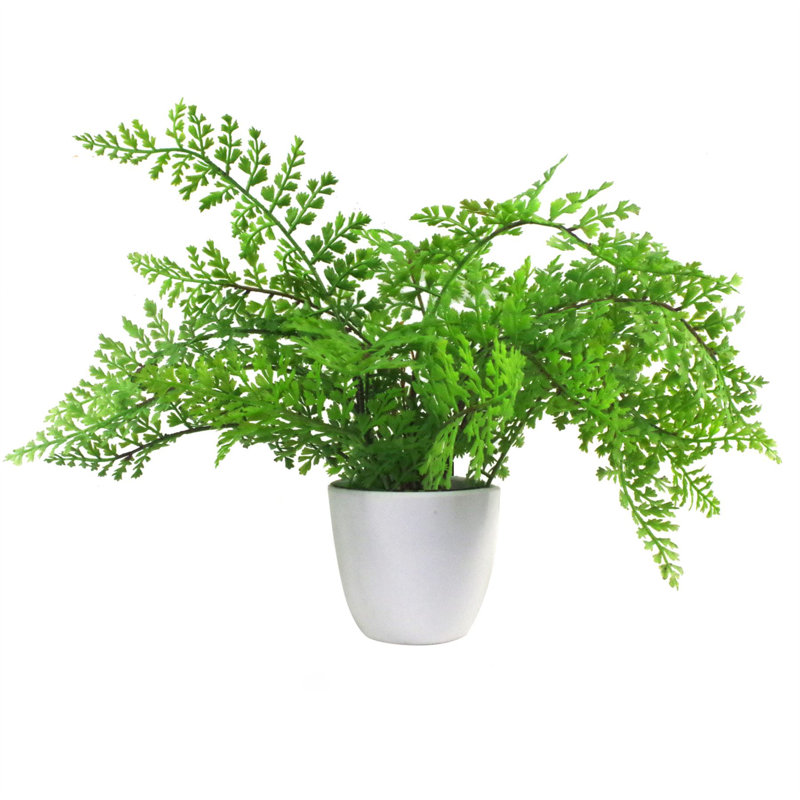 Artificial Fern Plant Pot Royal Fern 30cm Realistic Plants The Seasonal Aisle.