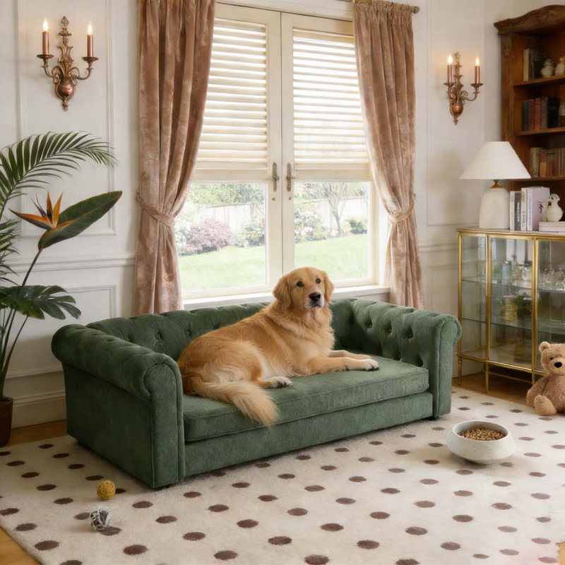Canapé pour chien en lin moderne et tendance, Vert olive