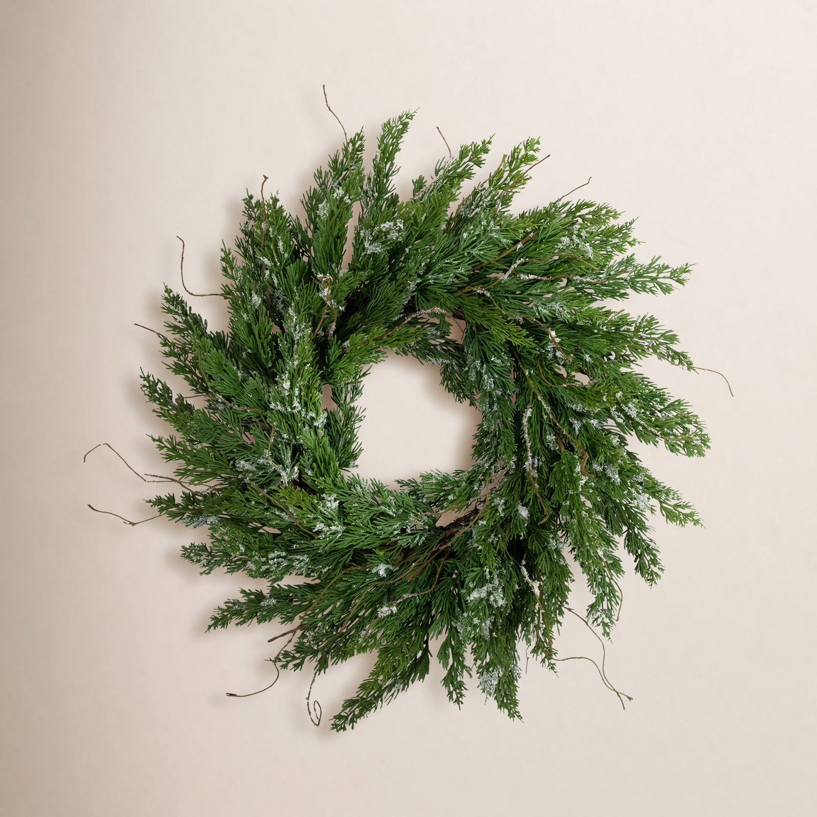 Northlight Seasonal 24" Frosted Cedar Wreath