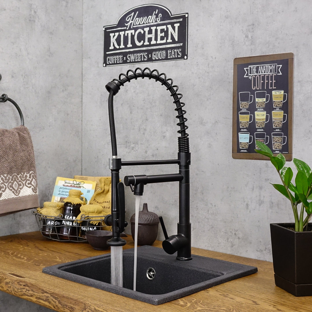 Belfry Kitchen Kitchen Faucet