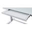 Tabukiniberu Adjustable Metal Base Standing Desk-250307906