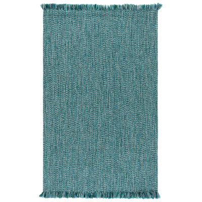 Braided 301 Hand Woven Machine Washable No Pattern Rug