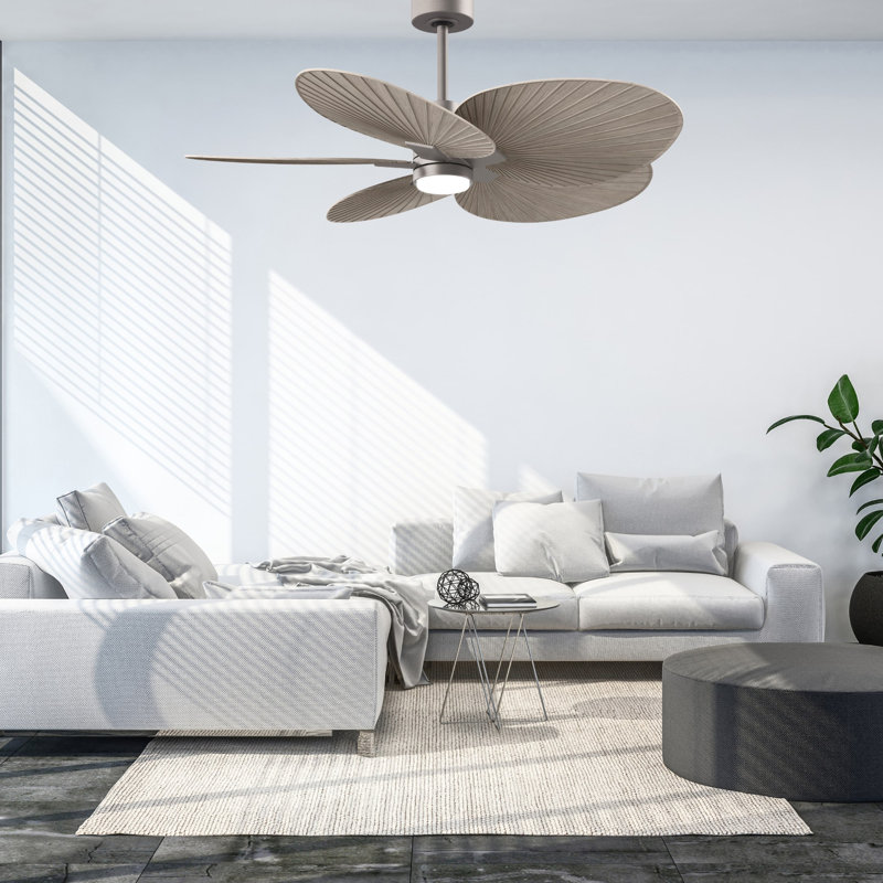 Alessandra - Ventilateur de plafond à cinq pales - DEL intégrée, Ton bois de frêne gris, Nickel brossé