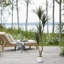 Faux olivier en pot-133254245-133254246-133254279