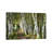 A Walk Through The Birch Trees by Danny Head - Print on Canvas-69997778-101344044-56733377