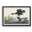 Red Breasted Merganser - reproduction d'art sur toile encadrée-1317518991-1317518990