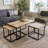 Aneisha Solid Wood and Metal Nest of 3 Coffee Side End Tables
