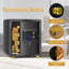Catine Safe Box Lock