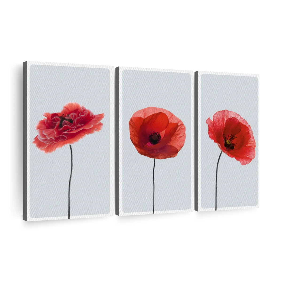 Elephant Stock Nature " Three Red Poppies Canvas Print " on | Wayfair