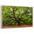 Floating Frame Natural Wood selected