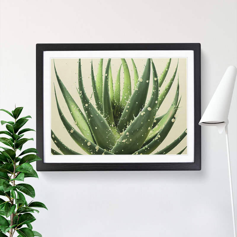 Angelical Aloe Vera Plant - Single Picture Frame Print, Black, 46cm H x 64cm W x 2cm D