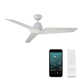 60" Vortex 3 - Blade Outdoor/Indoor Smart Standard Ceiling Fan with Wall Control Included, Works With Alexa and iOS or Android App