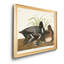 Scaup Duck - reproduction d'art sur toile-1857318963-1857318966
