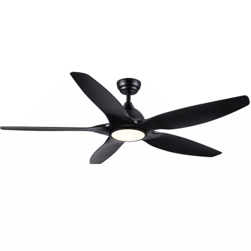 Kiry 60'' Ceiling Fan with LED Lights, Black