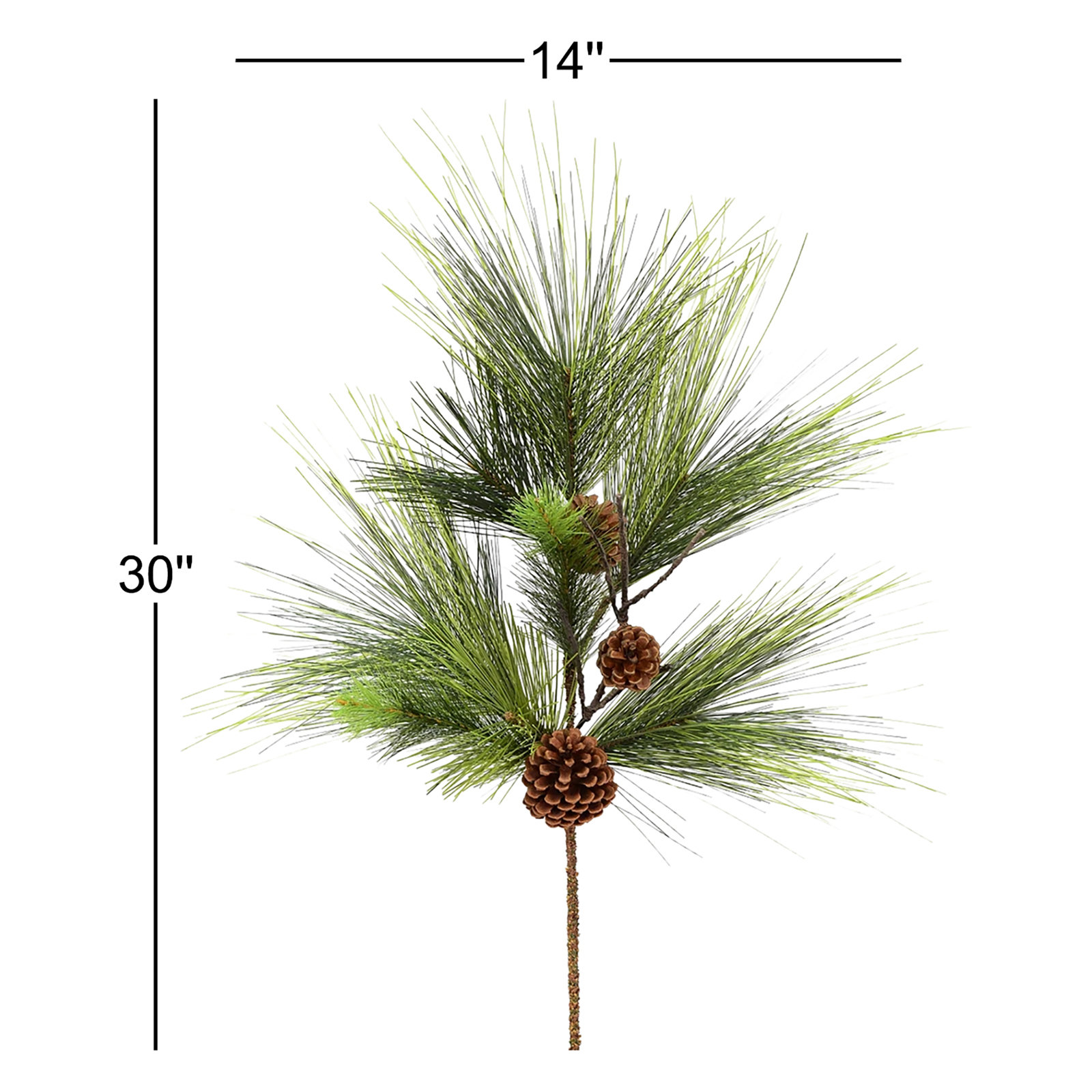 Boulder Pine Spray