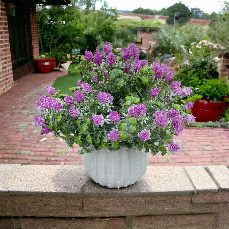 Arrangement de bébé en pot, Rose