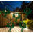 10-Count LED Palm Tree Fairy Lights - Warm White
