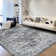 Abstract Machine Washable Rug Non-Slip Area Rug Modern Design Rug Durable Floor Carpet Easy-Cleaning Rug