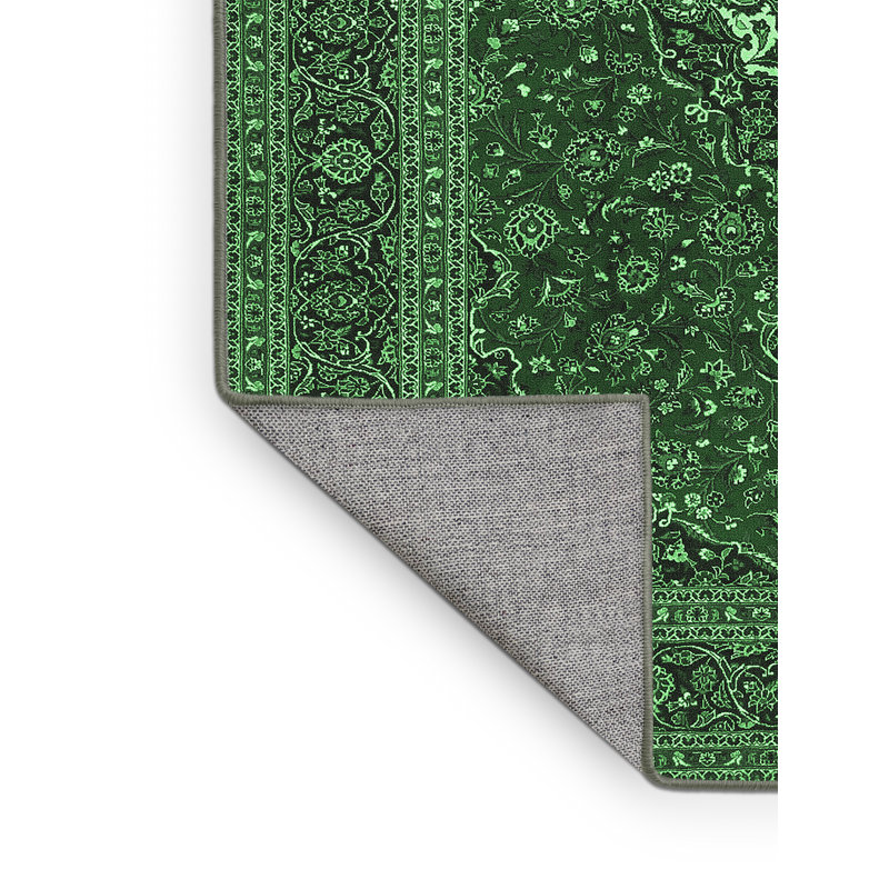 Jevgenia Performance Oriental Indoor Rug, Rectangle 5' x 7'