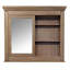 Miroir d’armoire grossissante biseauté hartlyn