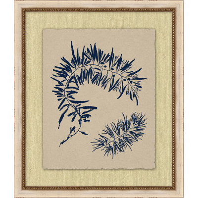 Small Navy Sea Fan 2 Print