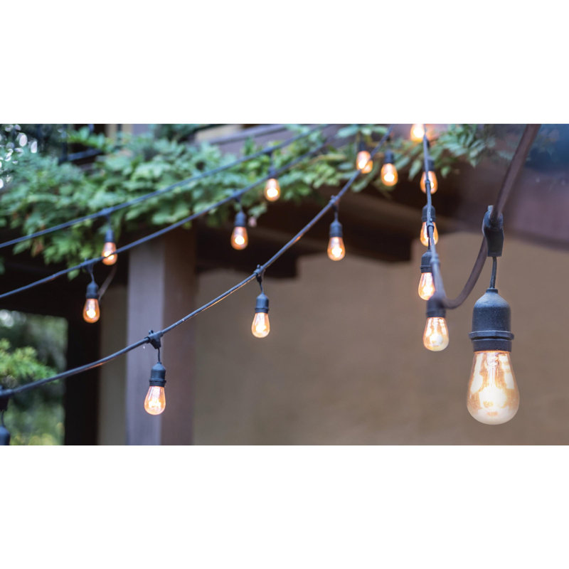 24 Ft. Indoor / Outdoor 12-Bulb Standard LED String Light