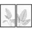 Feuille de bananier, croquis de fleurs duo, illustrations d'art moderne, panoramique, noir et blanc-101752714