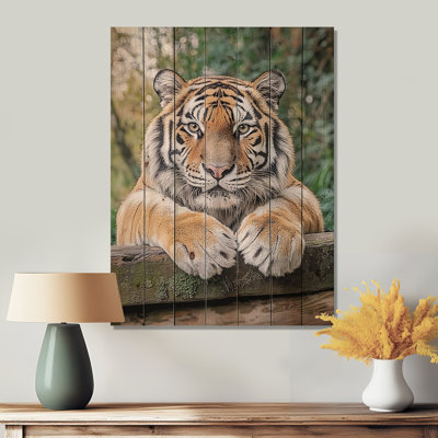 Tiger Portrait - Modern Wood Wall Art On Natural Pine Wood