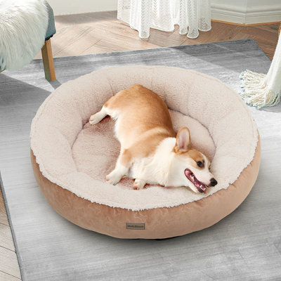 Lit pour chien Ignotas Donut, lit pour chien moelleux rond et moelleux, lit douillet pour chat anti-angoisse, lavable à la machine