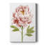 «Watercolor Peony II», impression sur toile tendue-1729834115