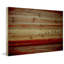 «Flying South» par Parvez Taj - reproduction sur bois-925271020
