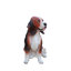 Statue de chien réaliste Beagle Grayson réaliste pour intérieur / extérieur