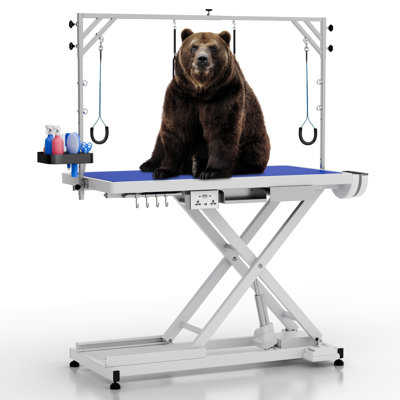 Doozx Electric Dog Grooming Table, Professional Grooming Table For Dogs At Home, Pet Grooming Table, Dog Grooming Table For Large Dogs, Hydraulic Grooming Table, Heavy Duty Grooming Station 50''/white