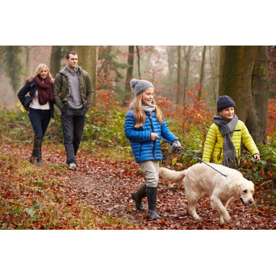 Navindra Winter Woodland On Canvas par Monkeyb Business Images, photographie
