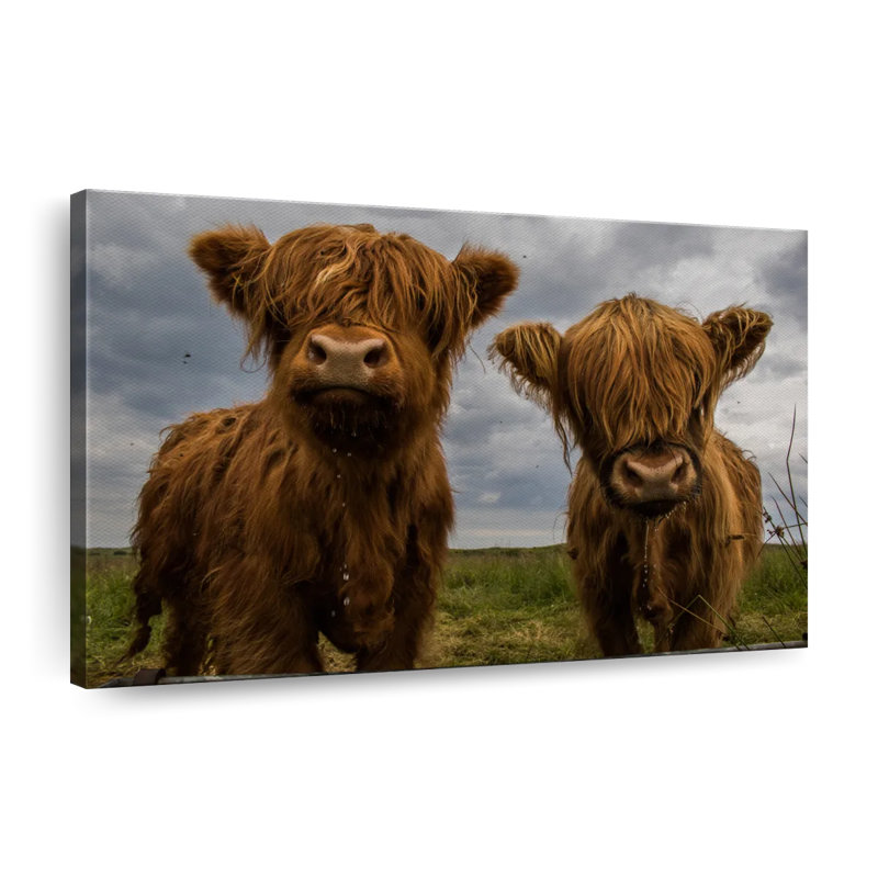 Sur toile, H 45 po x l 30 po x P 1,25 po